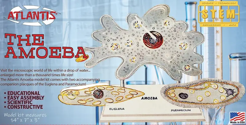 Atlantis Models - Amoeba Single Cell Model Kit Stem Plastic Model Kit 1