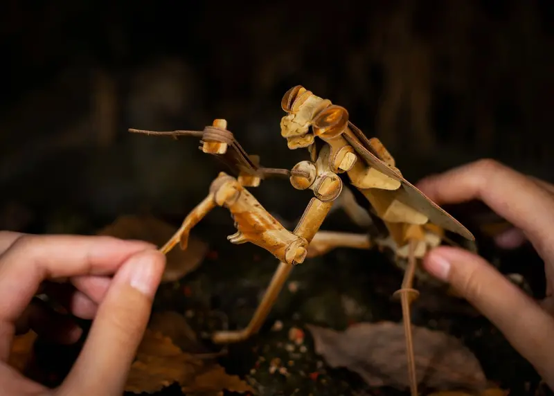 Make Bug - Dead Leaf Mantis 3D Puzzle, Bring Nature Home 1