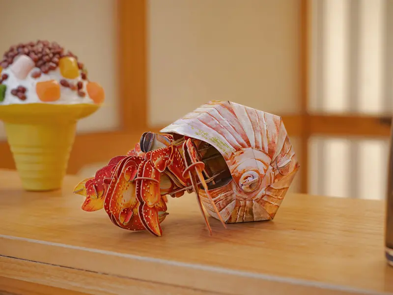 Make Bug - Hermit Crab 3D Puzzle, Bring Nature Home 1