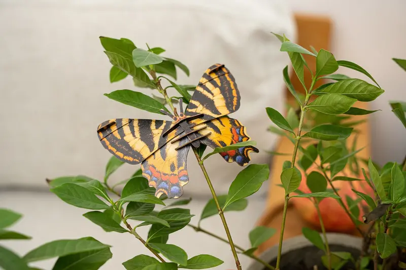 Make Bug - Luehdorfia Butterfly 3D Puzzle, Bring Nature Home 1