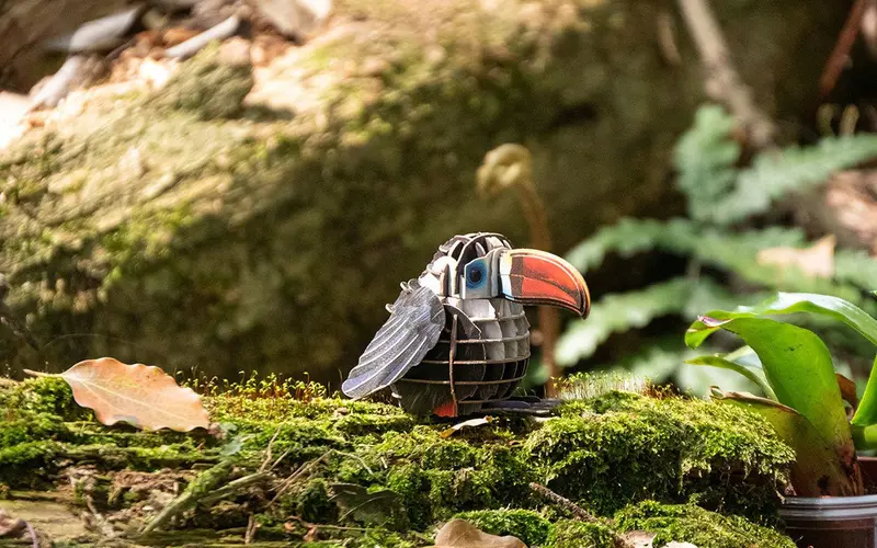 Make Bug - Makebug Voices Of Nature, Red-Billed Toucan 1