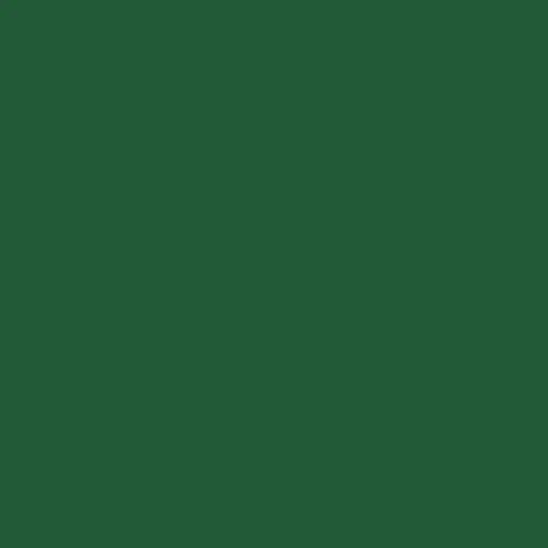 Mission Models - Acrylic Model Paint 1 Oz Bottle, Green 1