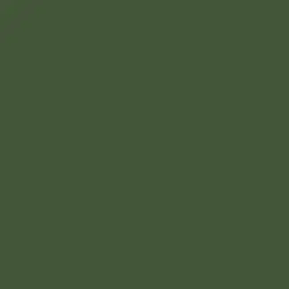 Mission Models - Acrylic Model Paint 1 Oz Bottle, Raf Dark Green 1