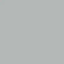 Mission Models - Acrylic Model Paint 1 Oz Bottle, Silver 1
