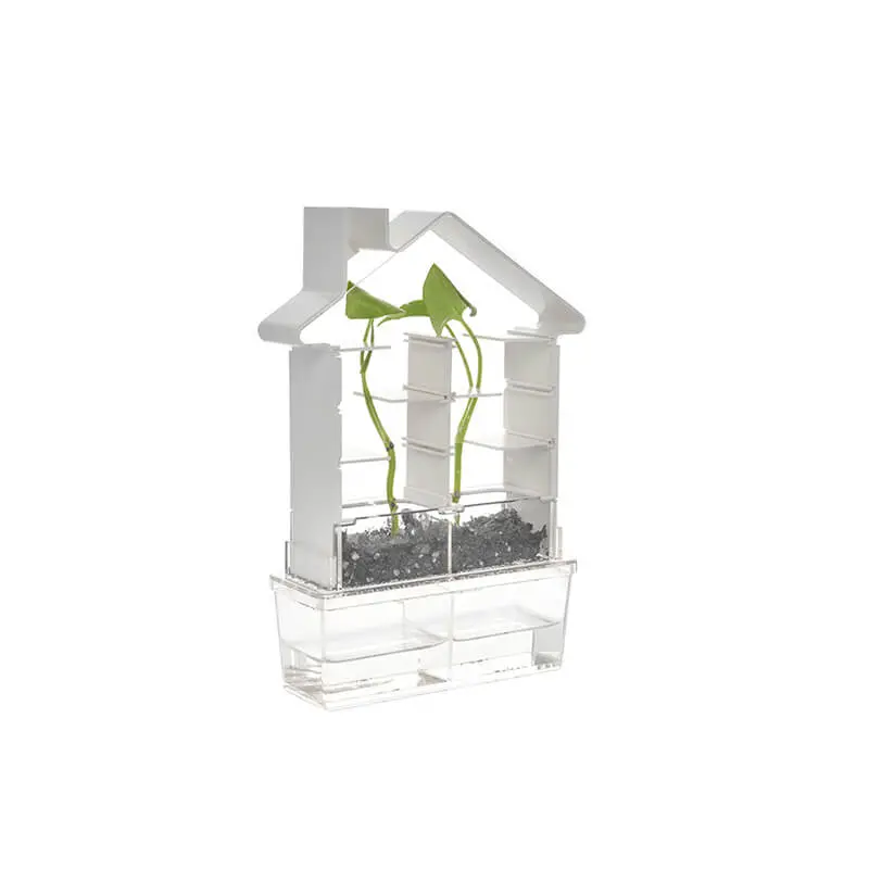 Play Steam - Plant Maze Botany Set 1