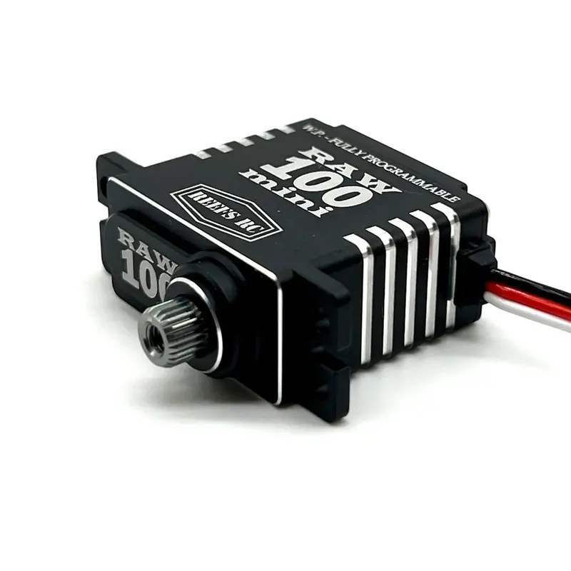 Reef's Rc - Raw 100 Mini Black Servo Programmable 1