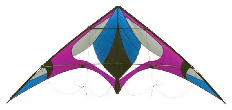 Skydog Kites - Freebird, Purple Kite 1