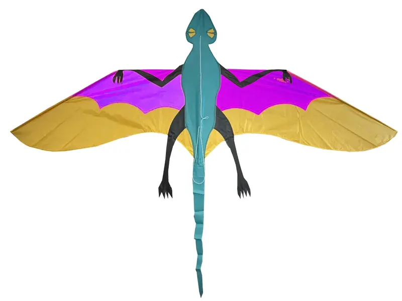 Skydog Kites - Joel Scholz Dimorphodon Kite 1