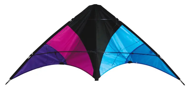Skydog Kites - Learn To Fly, Black Kite 1