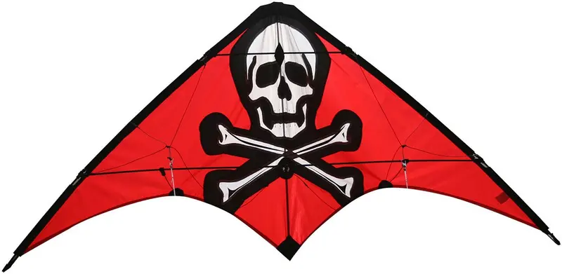 Skydog Kites - Learn To Fly, Pirate Kite 1