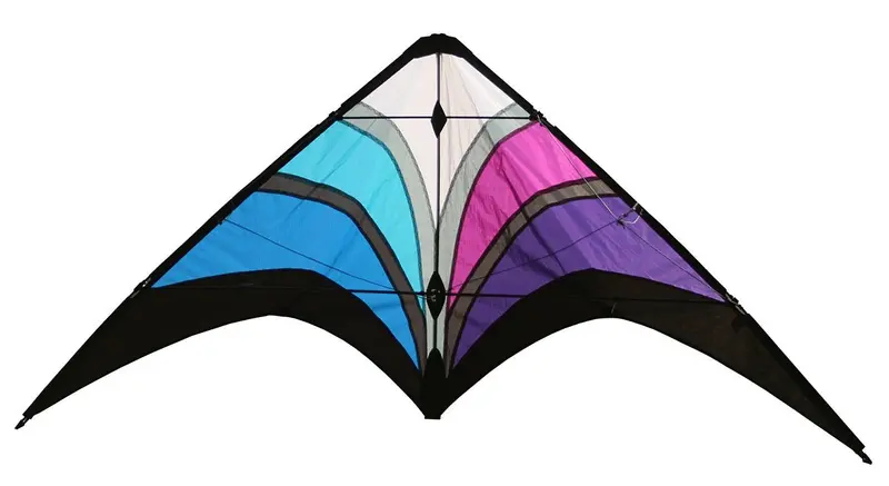 Skydog Kites - Little Wing, Cool Kite 1