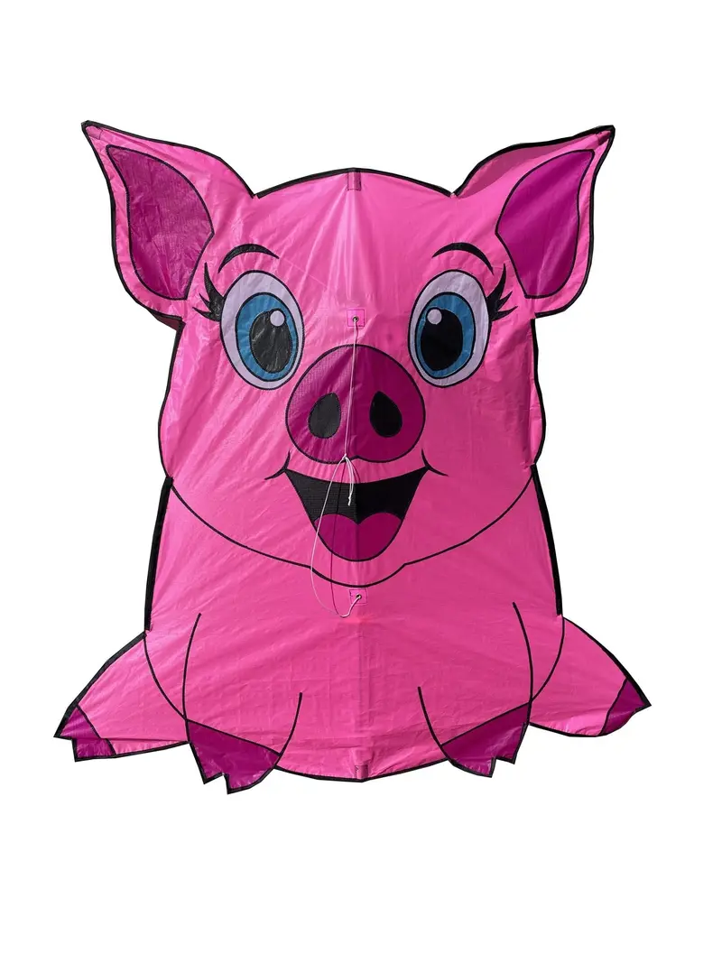 Skydog Kites - Pig Kite 1
