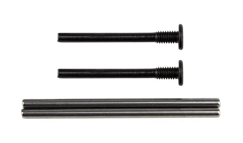 Team Associated - Apex2 Hinge Pins 1