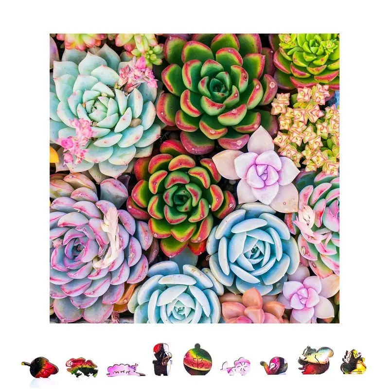 Zenchalet Puzzles - Succulent Sensation Wooden Puzzle, 500 Pcs 1